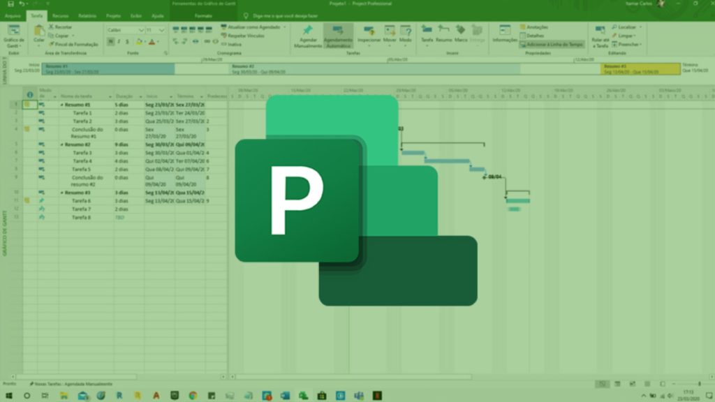 MS Project