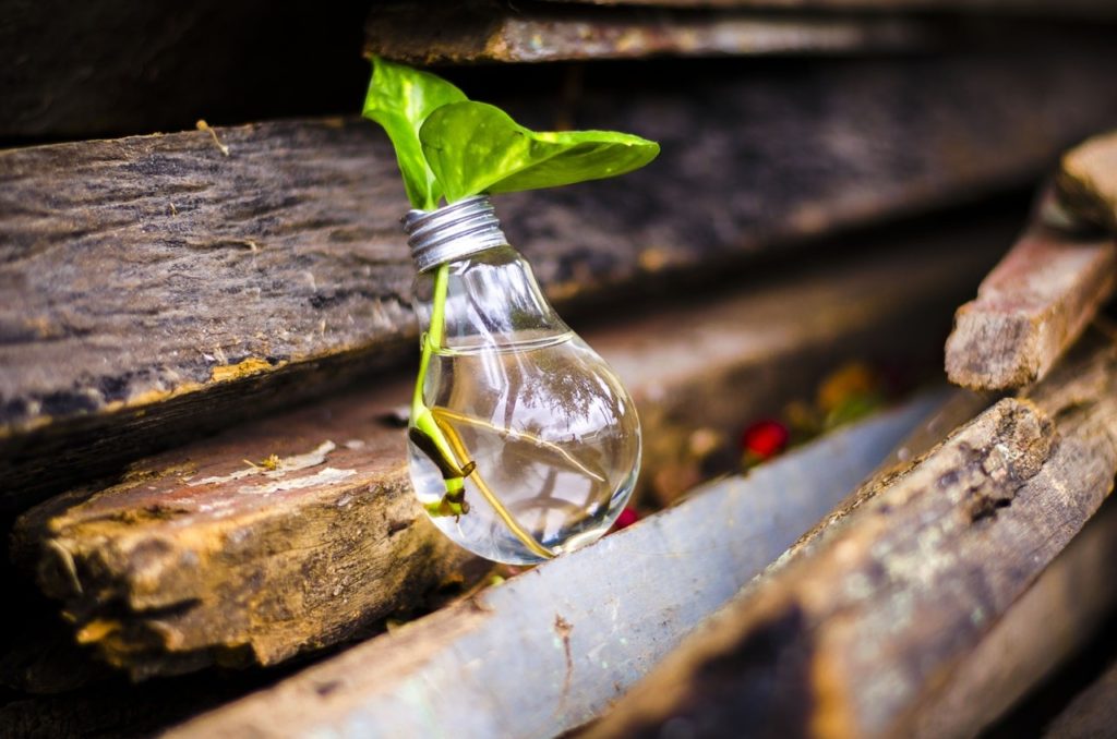 Sistema de I+D+i y gestión de la innovación