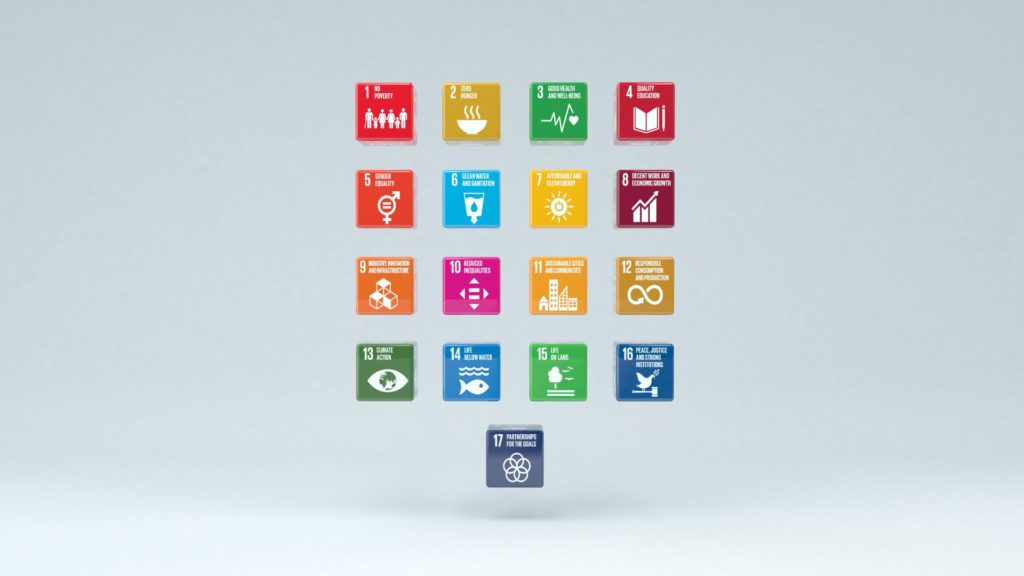 Principios básicos de la agenda 2030