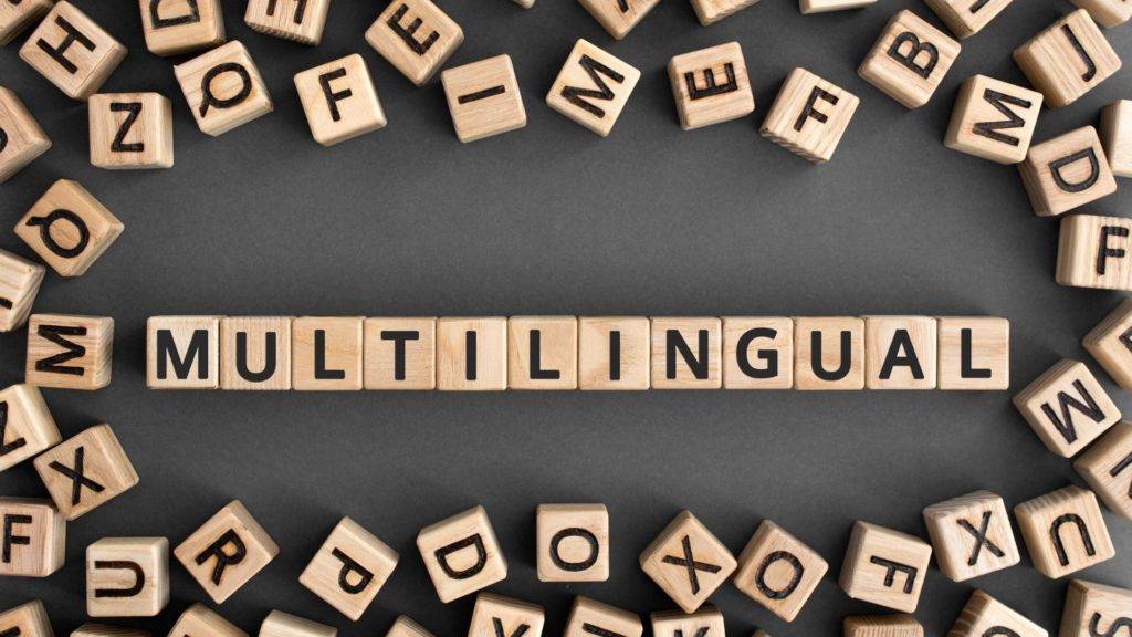 Edición y creación de sitios web multilingües