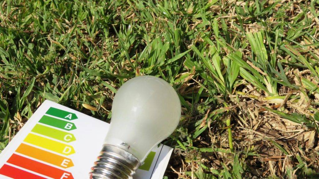 Sistemas de gestión medioambiental: ISO 14001