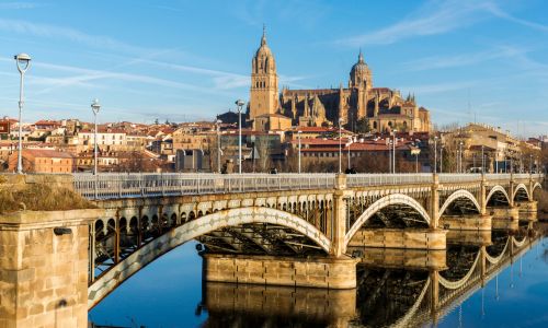 Castilla y León y sus programas de formación para la transformación digital al detalle