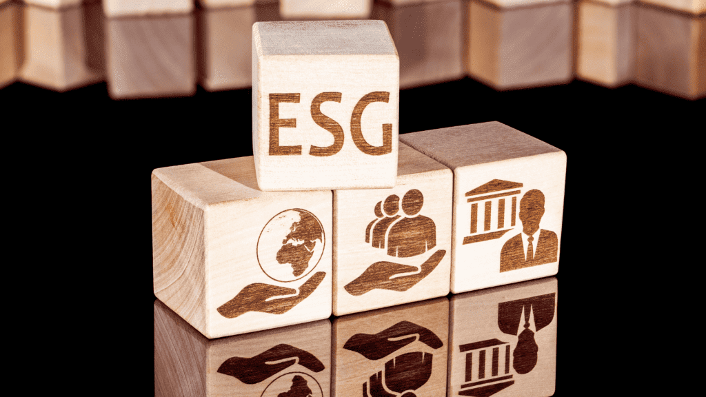 Principios básicos de la economía social