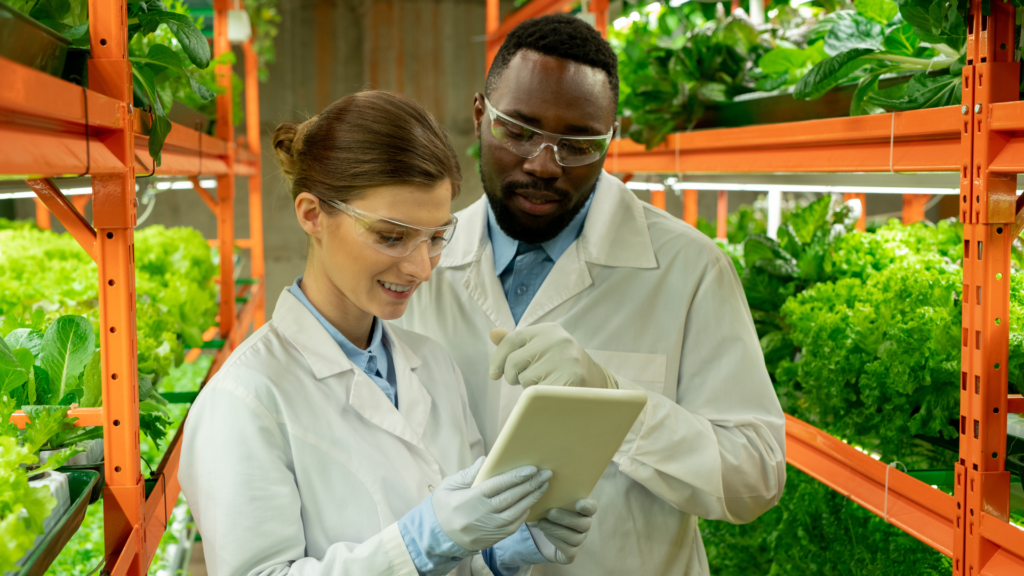 Fundamentos del Sistema de Gestión de Calidad Medio Ambiental: UNE-EN-ISO-14001.