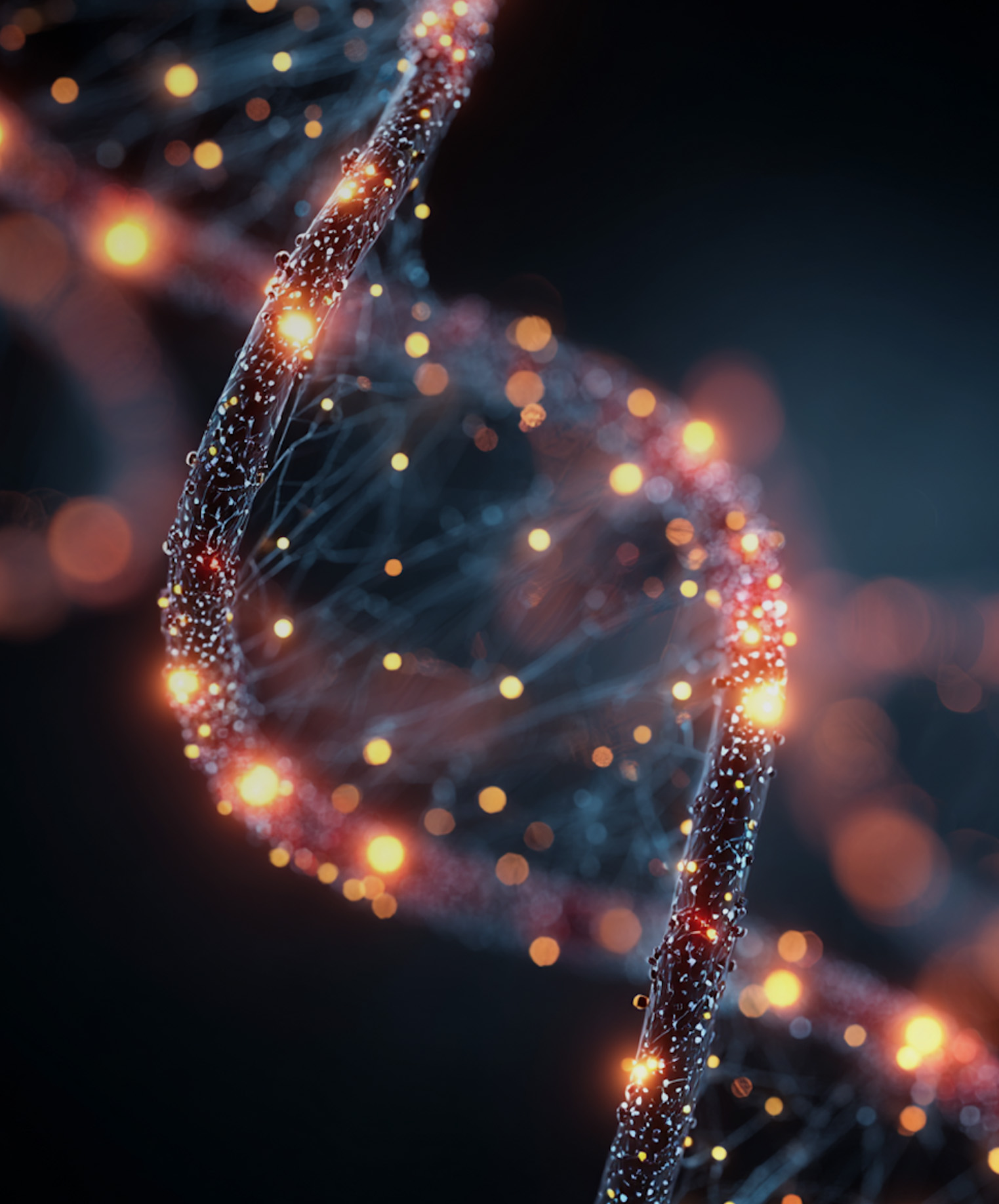 Plataformas LMS y LXP con nuevas funcionalidades impulsadas por agentes AI.